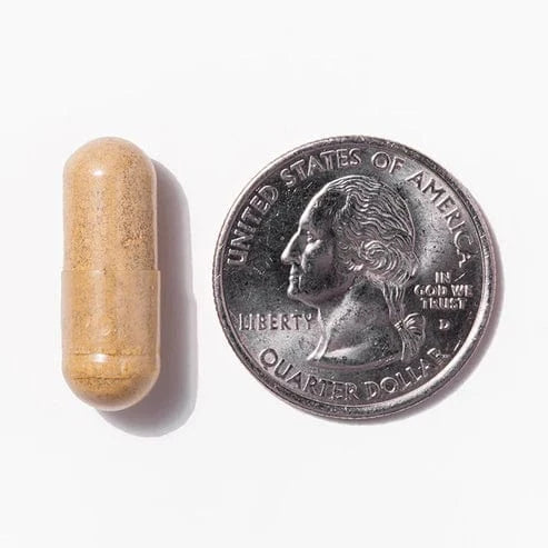 Capsule next to quarter for size comparison
