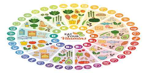 Colorful wheel chart of vitamins and the foods that contain them