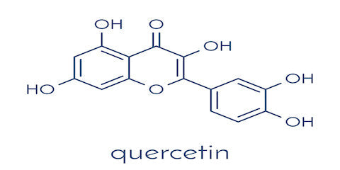 The Importance of Quercetin