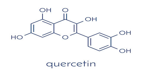 Chemical structure diagram of quercetin