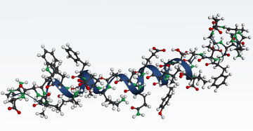 GLP-1 hormone molecule for a guide on what is GLP-1?