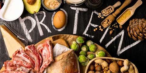 The word protein spelled out among protein-rich foods like meat, eggs, nuts and beans