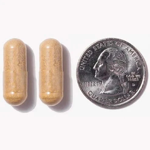 Two probiotic capsules next to a quarter.