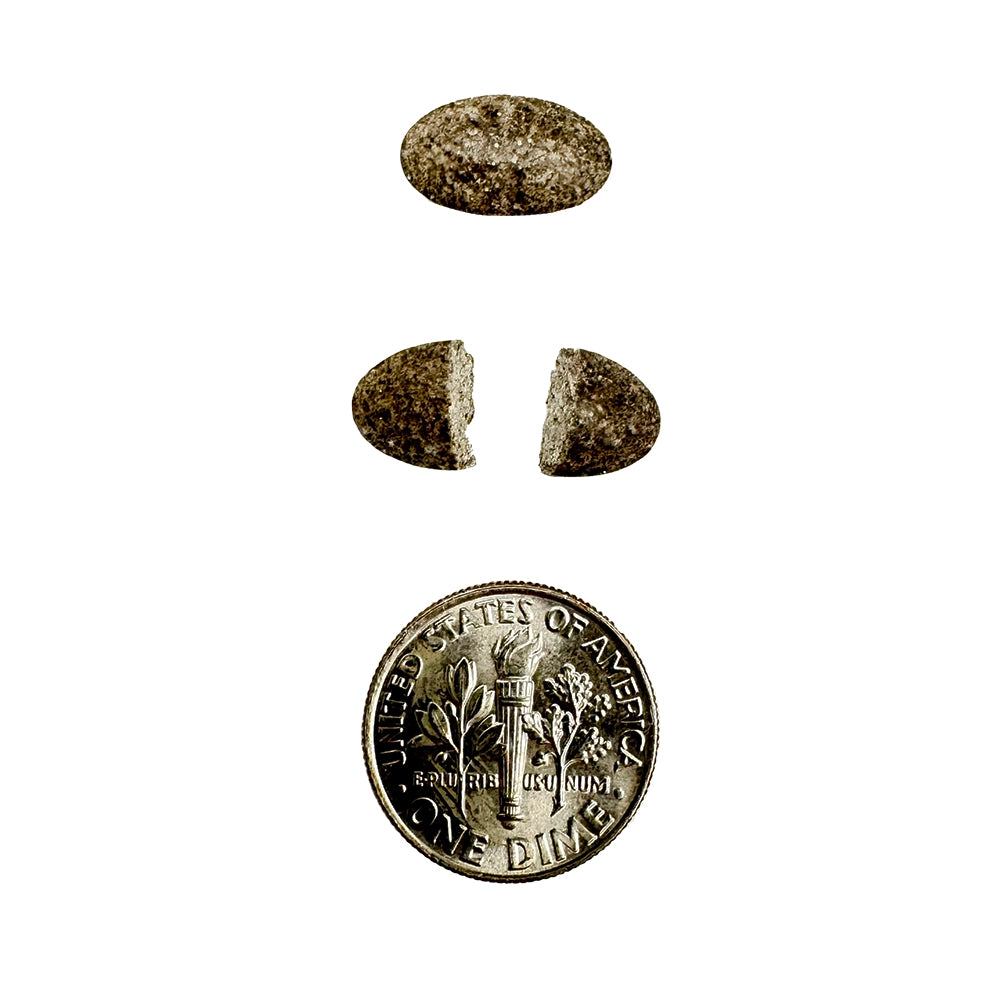 Iron + Vitamin C tablet shown whole and bisected for dosage flexibility, with a U.S. dime for size comparison.