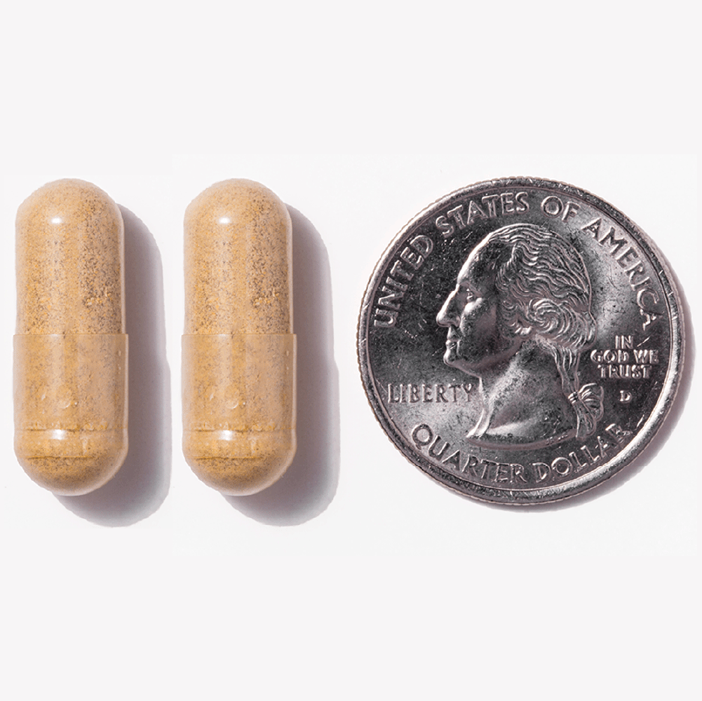 Probiotic capsules next to quarter dollar for size comparison