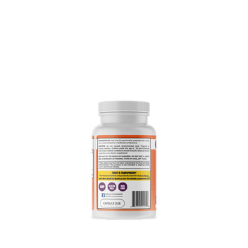 50 Billion CFU Probiotic | Capsule | 30 Count